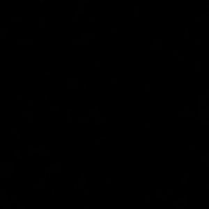 Meet your Posher, Maya